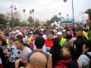 View The Marathon Marrakech 2011-o cursa cu drapelele Romaniei, Uniunii Europene si Marocului, pentru copiii de pe continentul Africa, afectati de malarie Album