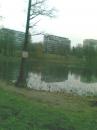 View The Alergare in parcul din zona Circului Album